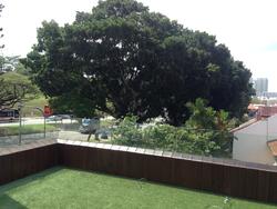Moonbeam Walk (D10), Semi-Detached #75435052